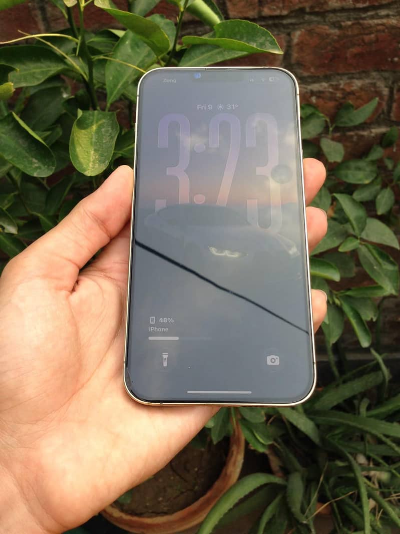 Apple iPhone 13 Pro Max 1