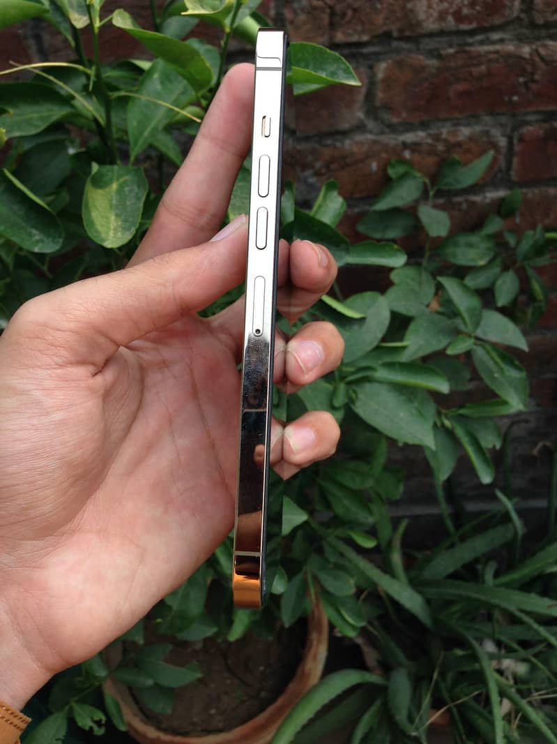 Apple iPhone 13 Pro Max 2