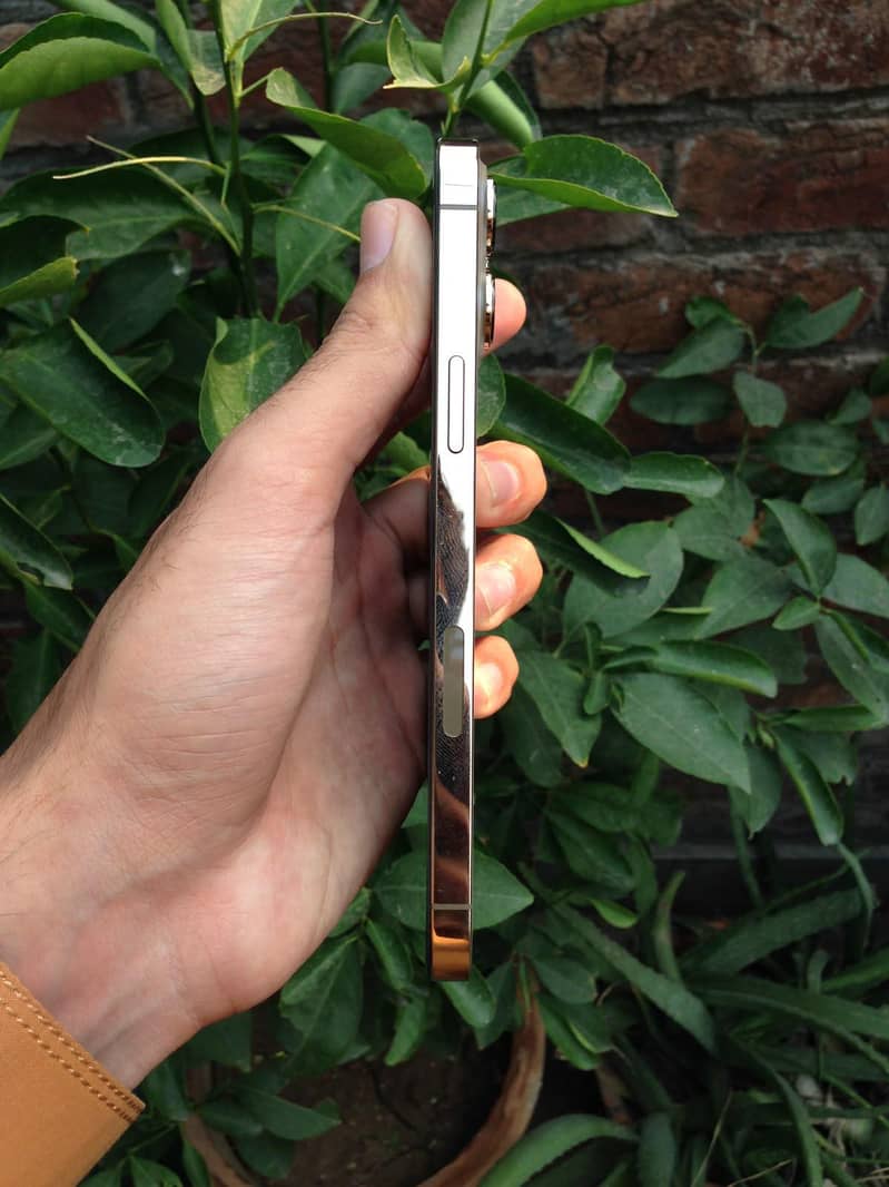 Apple iPhone 13 Pro Max 3