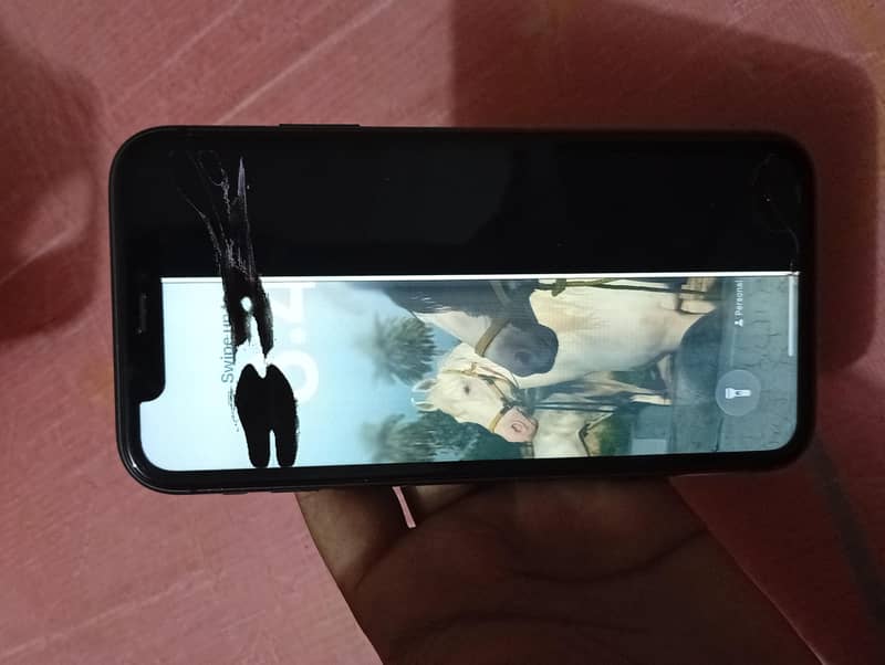 Apple iPhone 11 2
