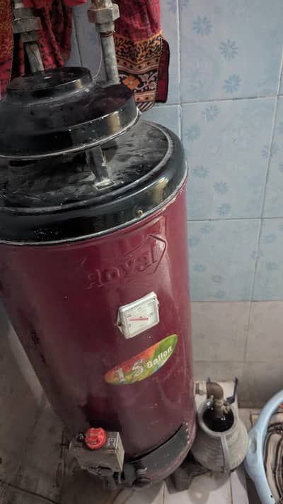Geyser for sale