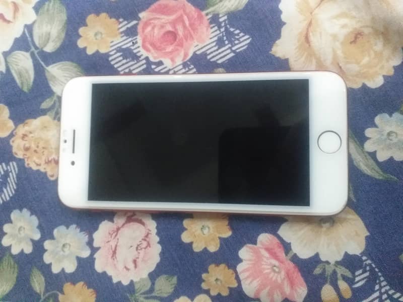 Apple iPhone 7 1