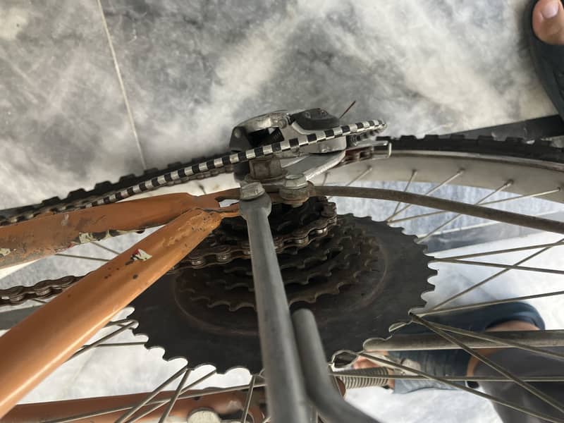 Gira cycle 1