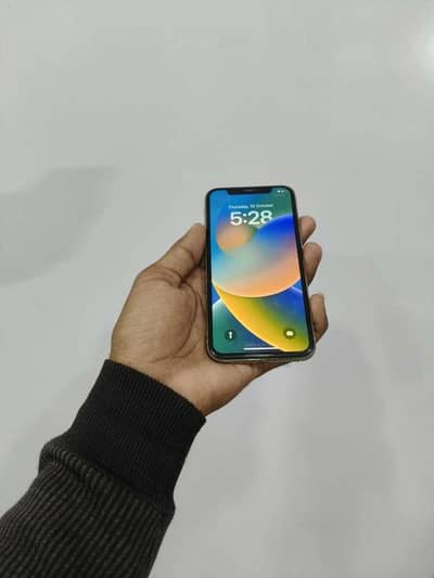 Apple iPhone X