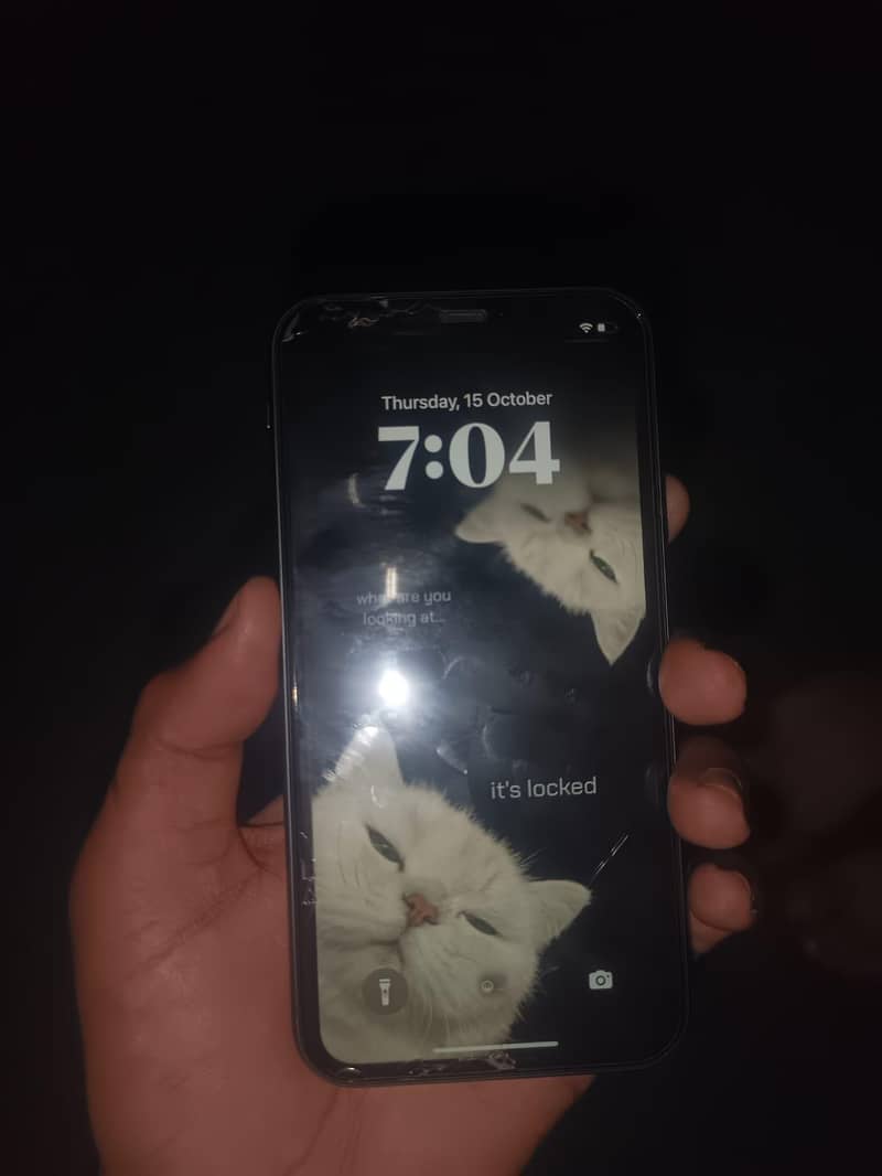 Apple iPhone 11 4