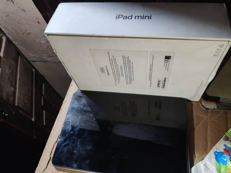 ipad mini 5 256gb 1