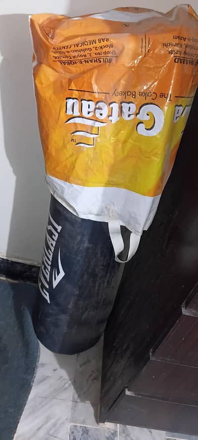 EVERLAST PUNCHING PAD