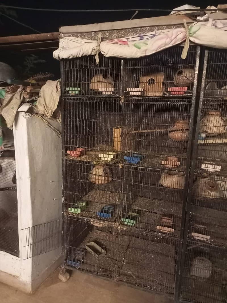 8 portion  cage 0