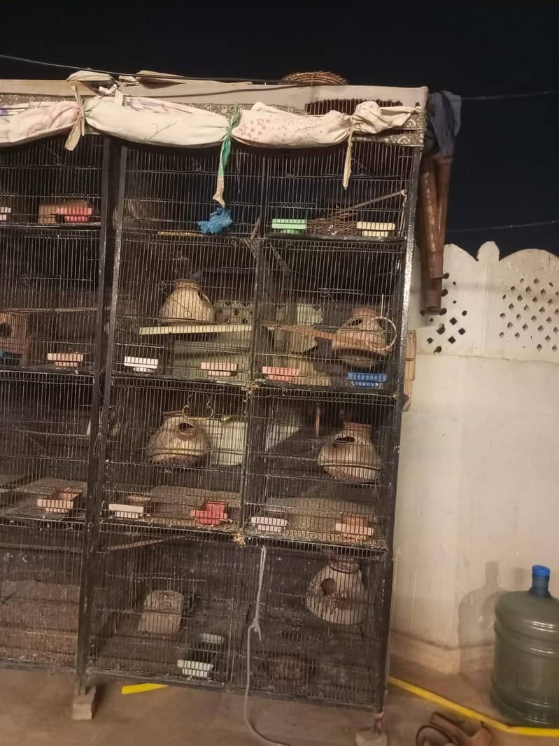 8 portion  cage 2
