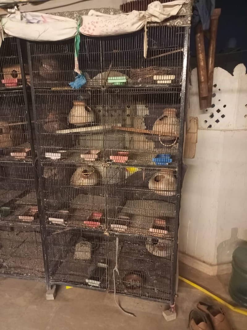 8 portion  cage 3