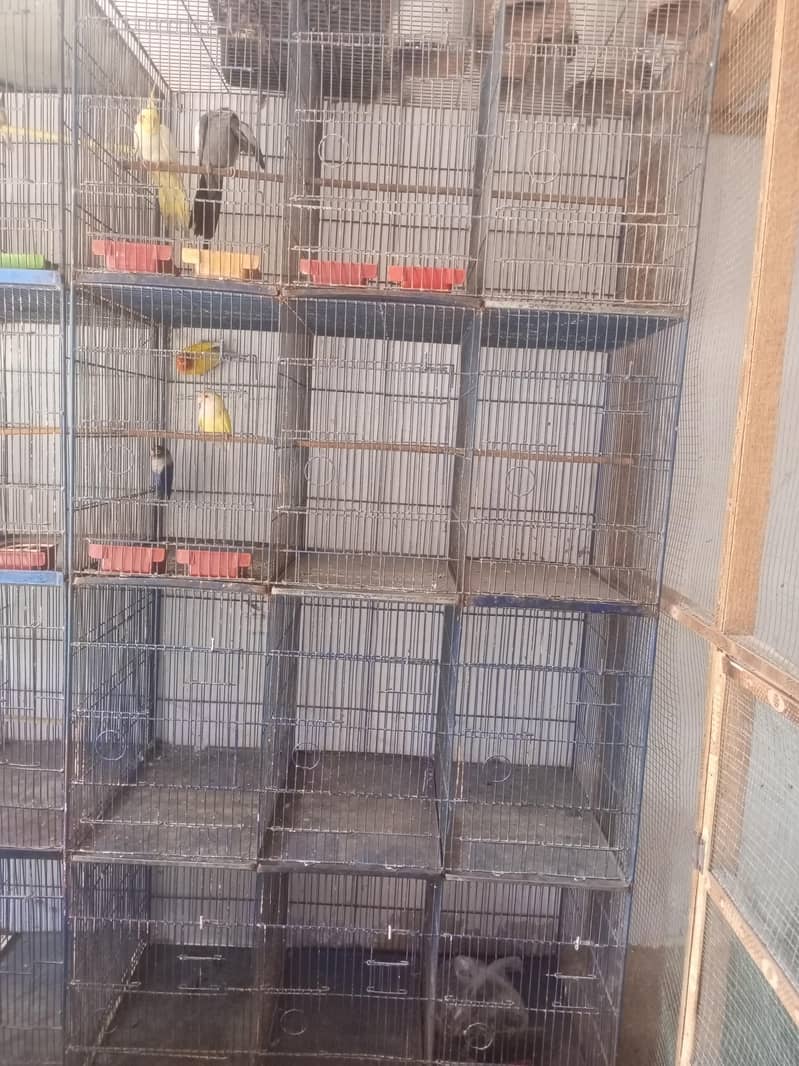 8 portion  cage 5
