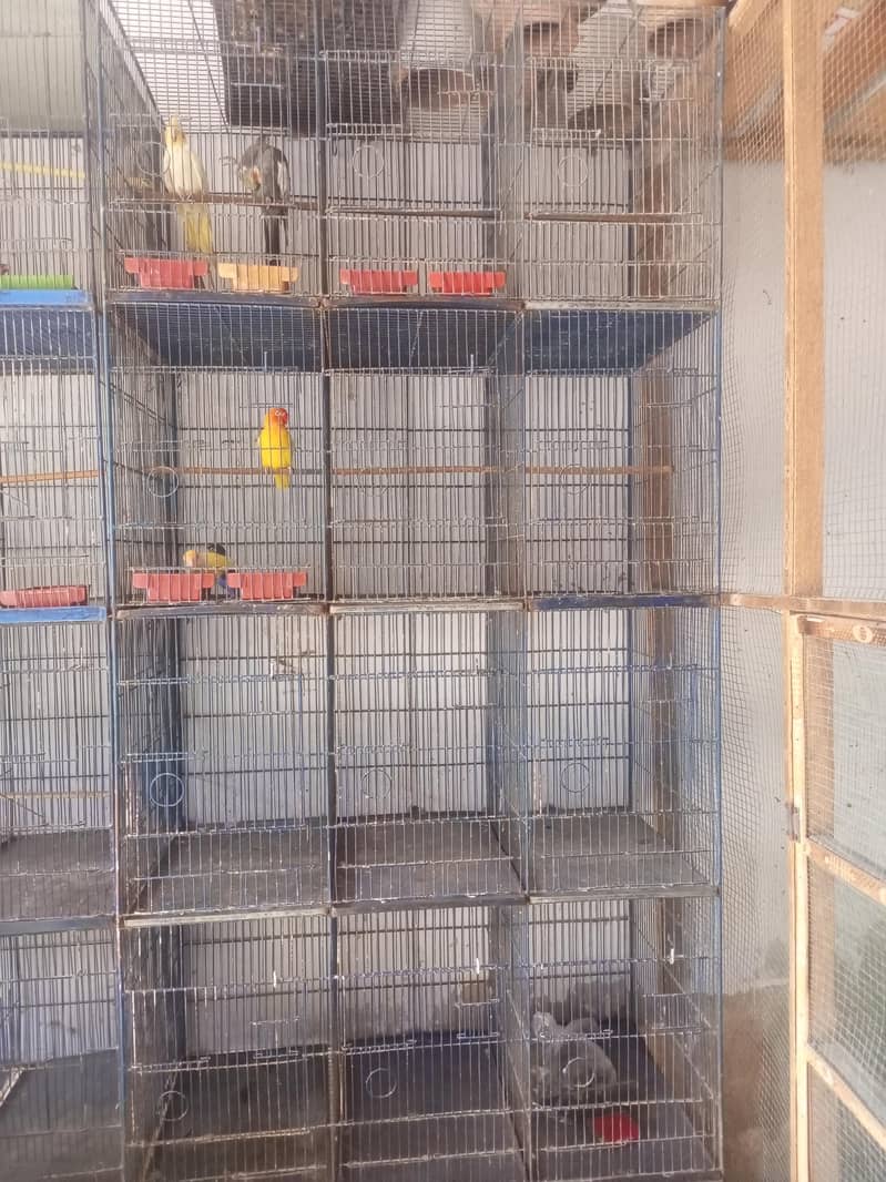 8 portion  cage 6