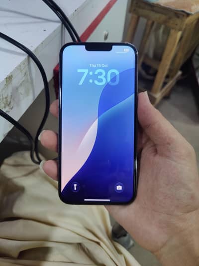 Apple iPhone 13 Pro Max