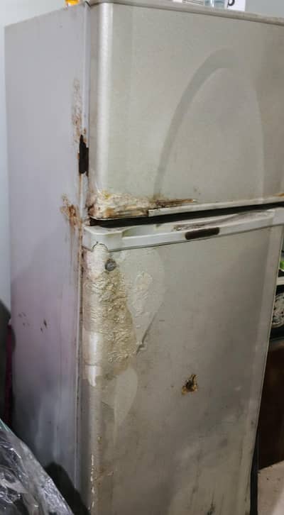 Fridge