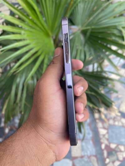 Apple iPhone 14 Pro Max