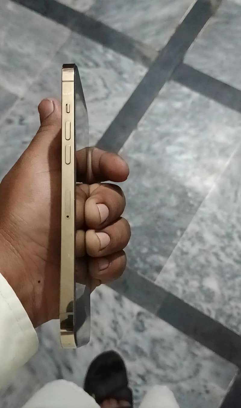 Apple iPhone 12 Pro Max 0