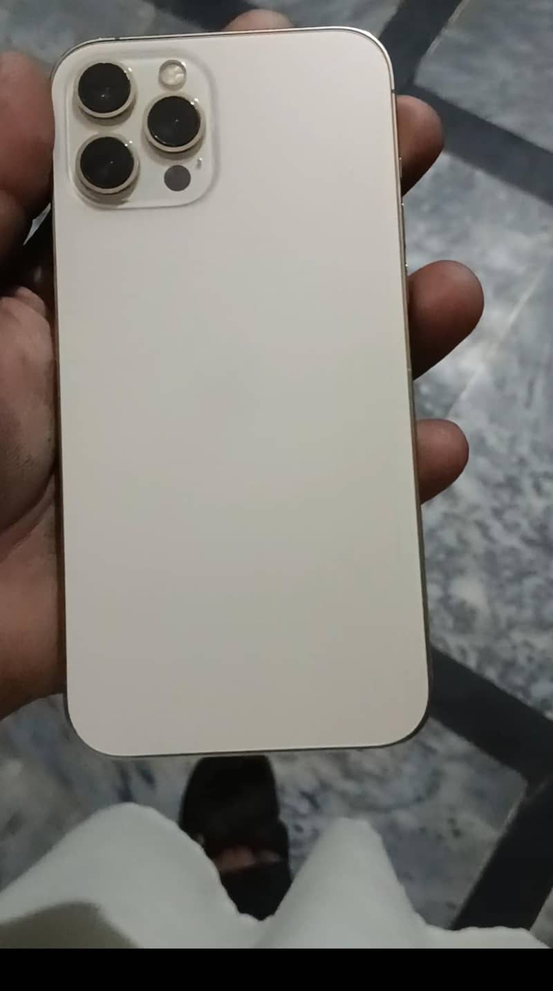 Apple iPhone 12 Pro Max 1