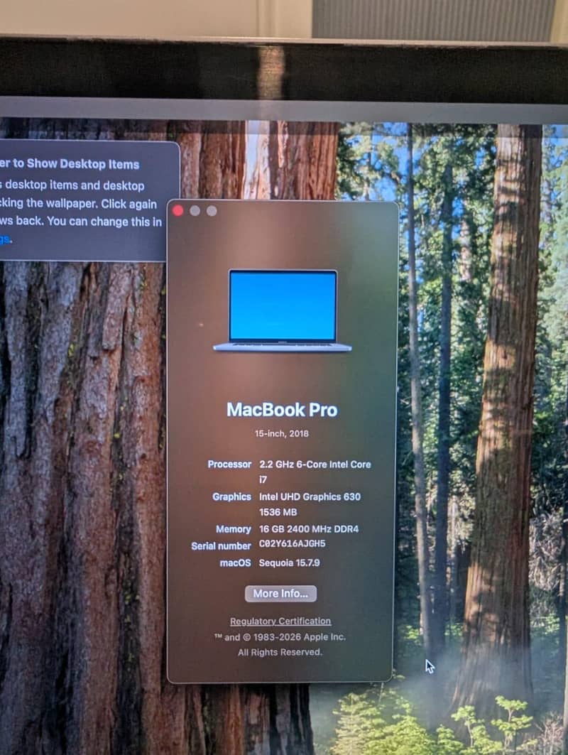 MAC BOOK 2018 PRO 1
