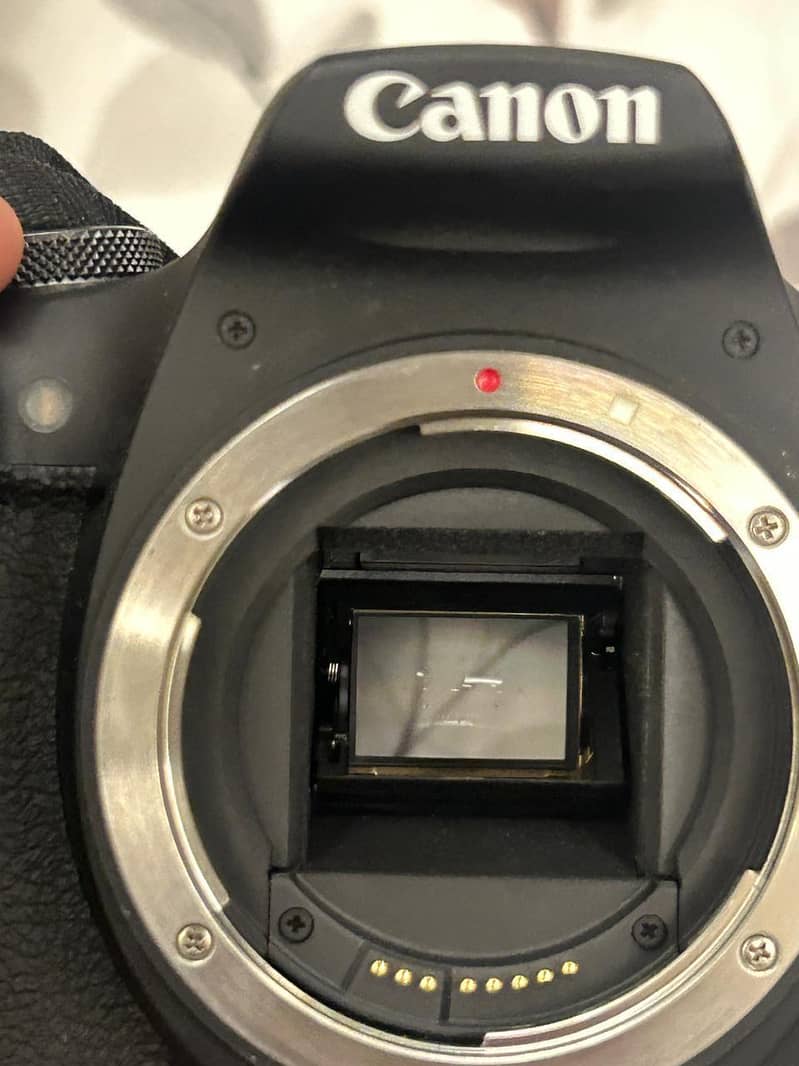 Canon EOS 2000D DSLR Camera 14