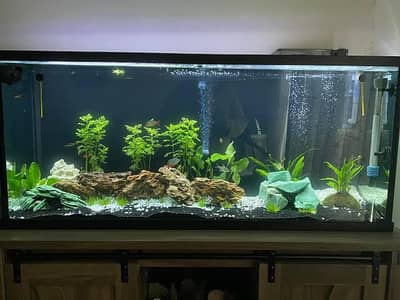 Aquarium in reasonable price 03047026440