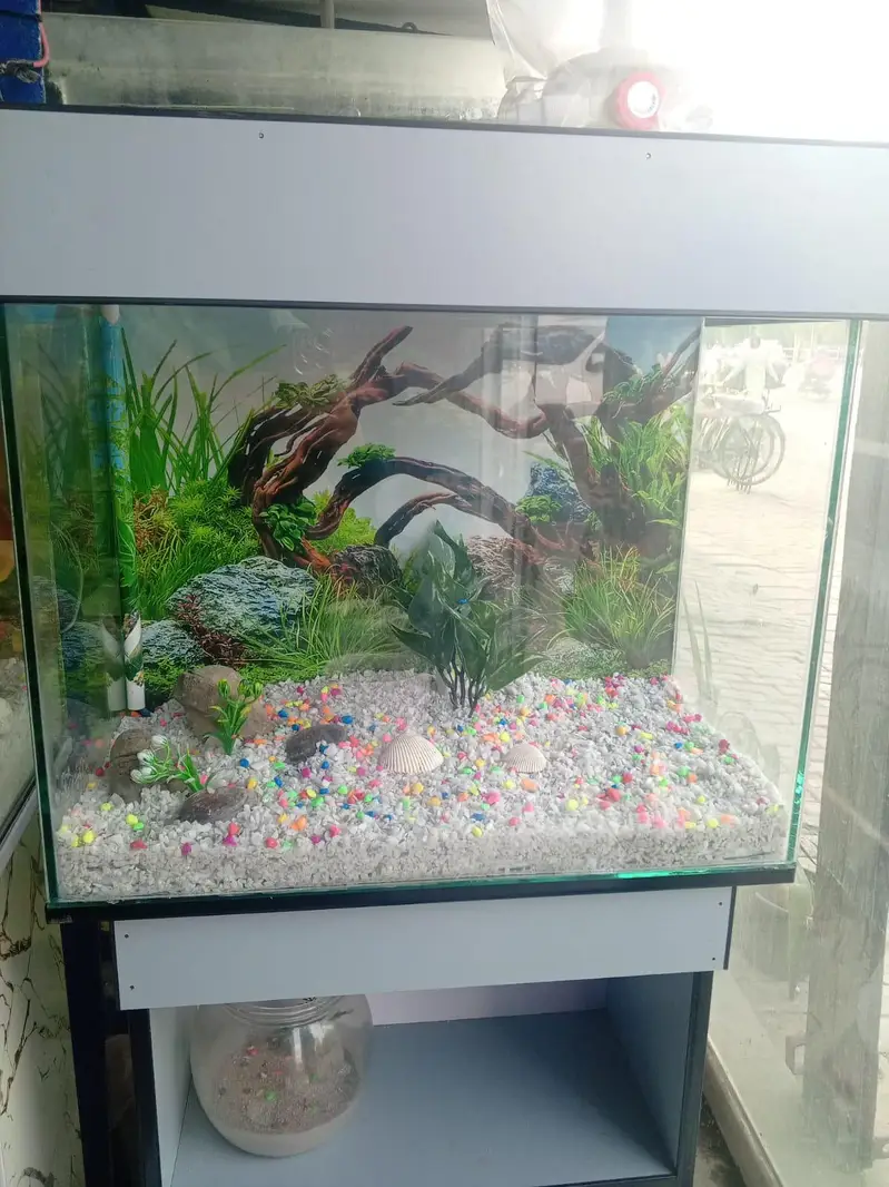 Aquarium in reasonable price 03047026440 — photo 5
