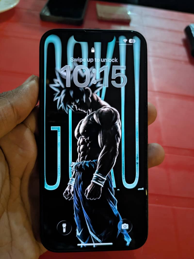 Apple iPhone 13 0