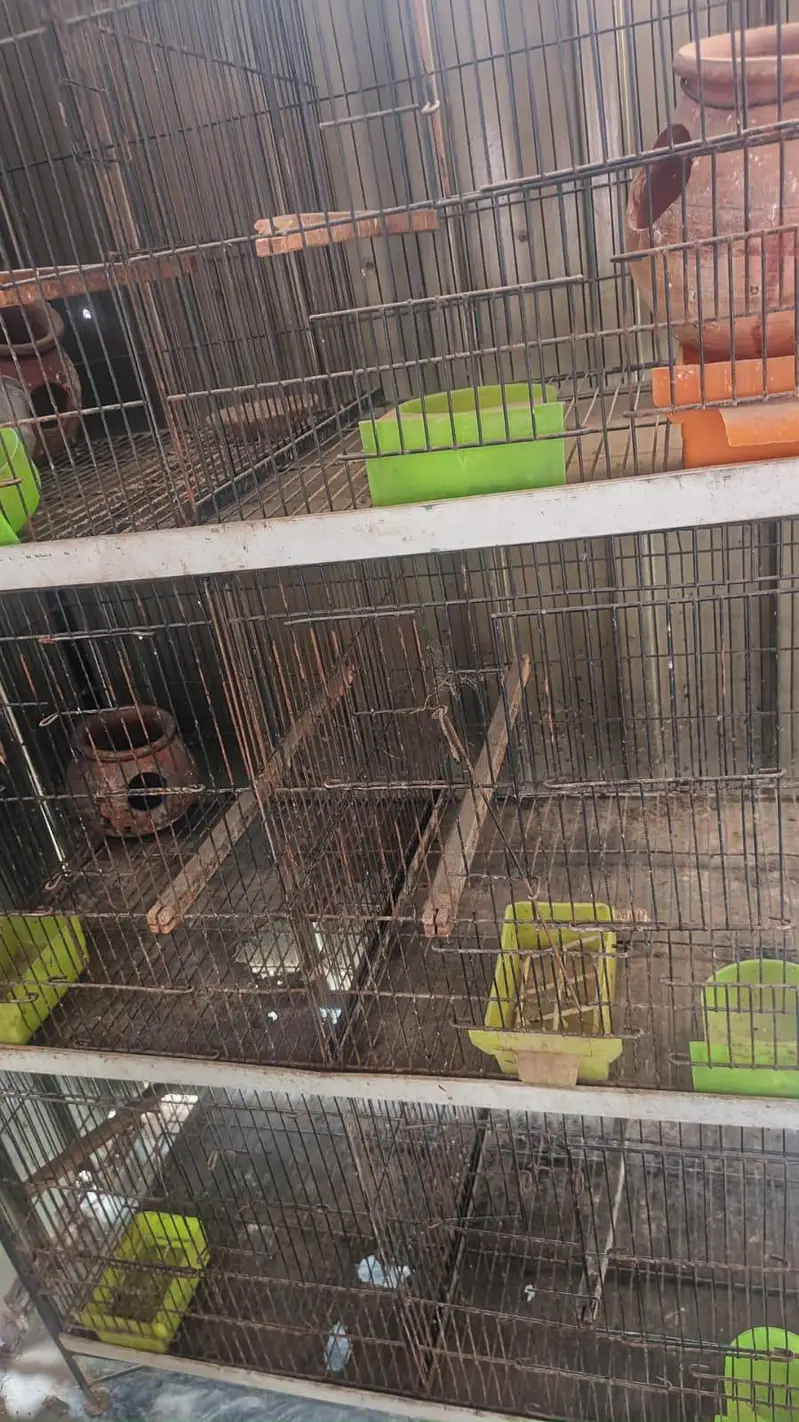 cage 8 portion heavy matel se bna hai — photo 2