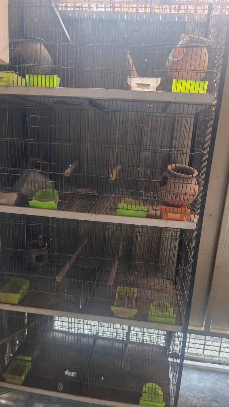 cage 8 portion heavy matel se bna hai — photo 3