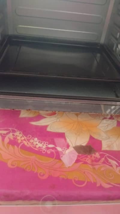 National microwave oven