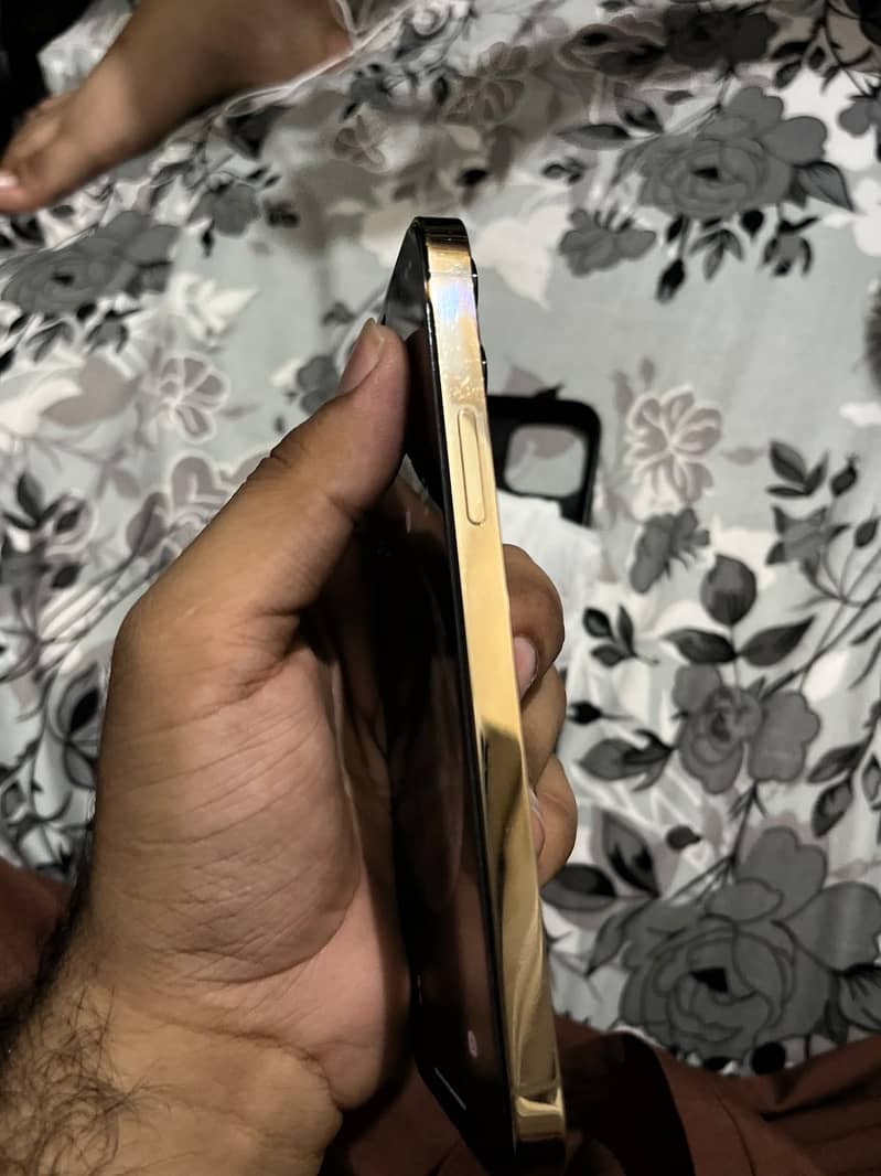 Apple iPhone 12 Pro 4