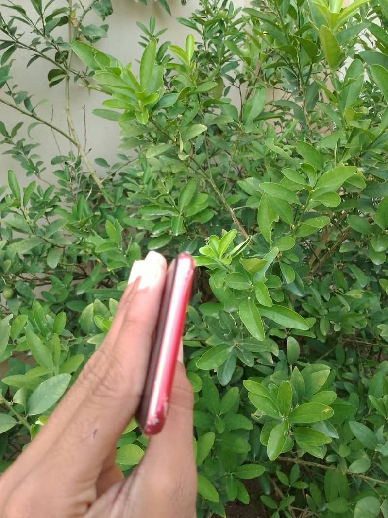 Apple iPhone SE 4