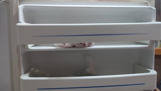 Franklin refrigerator