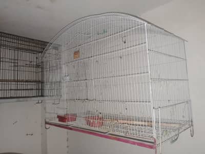 bird big size cage available for sale