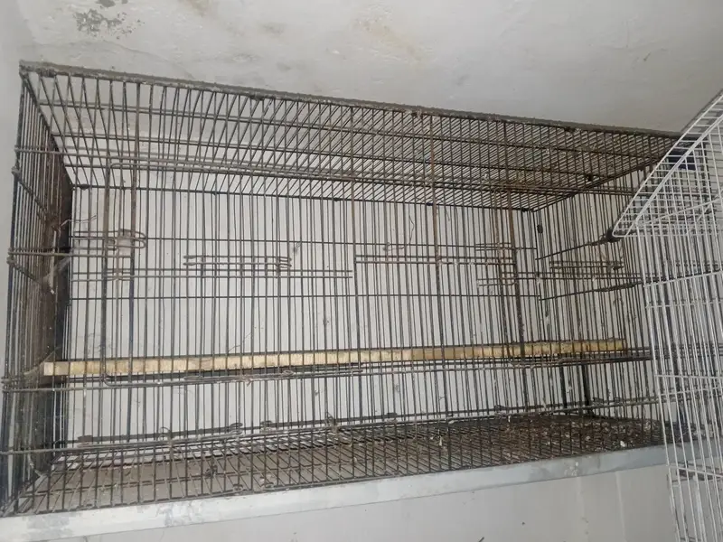 bird big size cage available for sale — photo 2