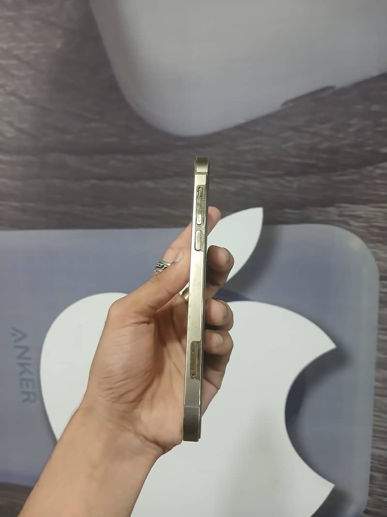 Apple iPhone 12 Pro 3