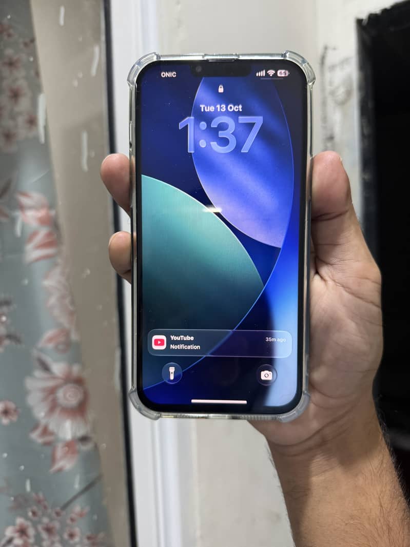 Apple iPhone 13 Pro Max 1