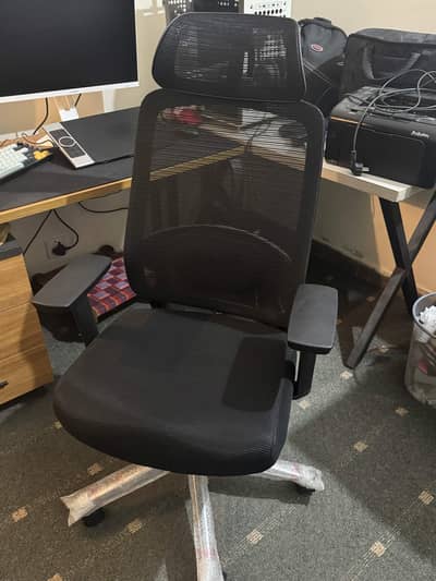 Ergonomic Chair