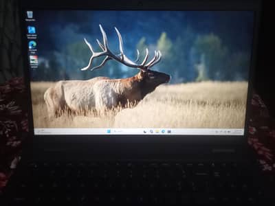 Dell latitude i7 11th generation