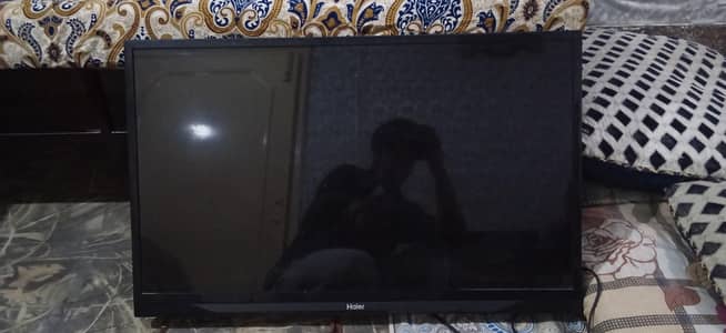 Haier