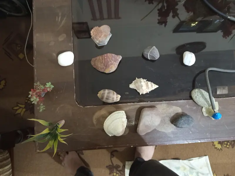 fiber glass aquarium for sale strong stealth glass size(2ft*1ft*1.8ft) — photo 7