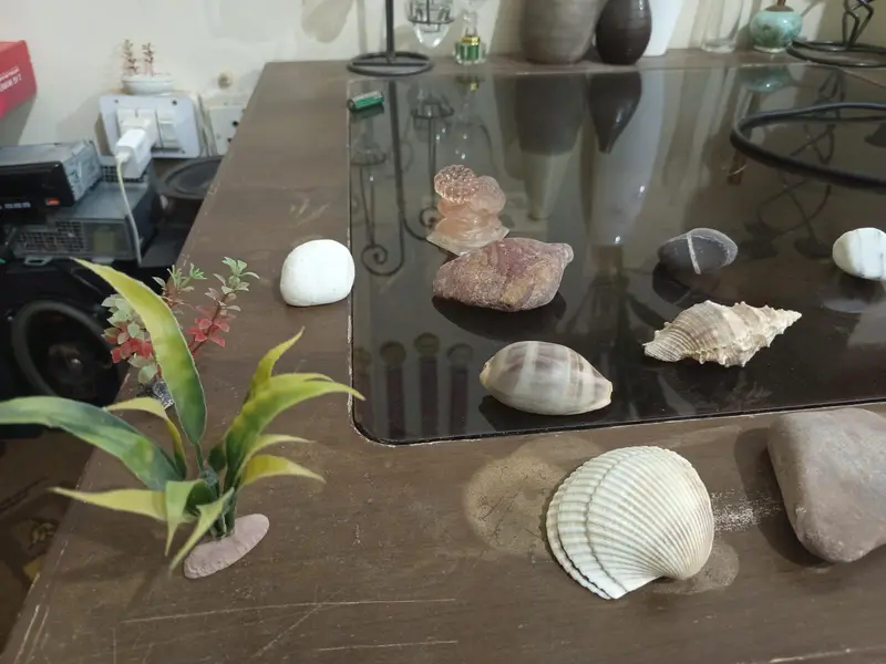 fiber glass aquarium for sale strong stealth glass size(2ft*1ft*1.8ft) — photo 9