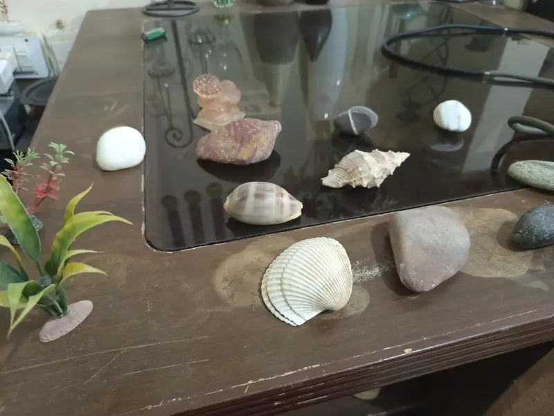 fiber glass aquarium for sale strong stealth glass size(2ft*1ft*1.8ft) — photo 10