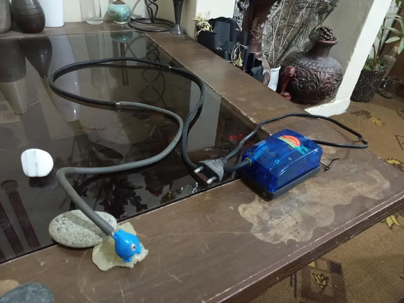 fiber glass aquarium for sale strong stealth glass size(2ft*1ft*1.8ft) — photo 11