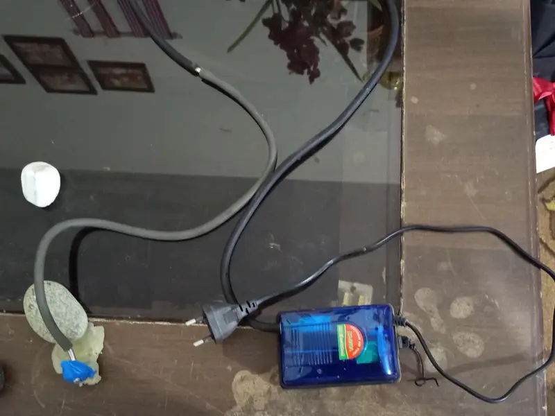 fiber glass aquarium for sale strong stealth glass size(2ft*1ft*1.8ft) — photo 12