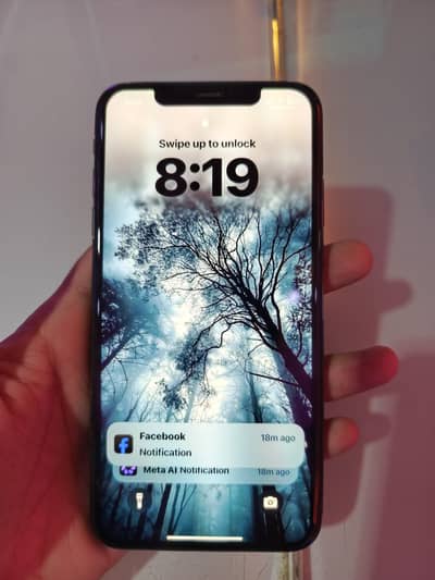 Apple iPhone XS Max 256Gb FU