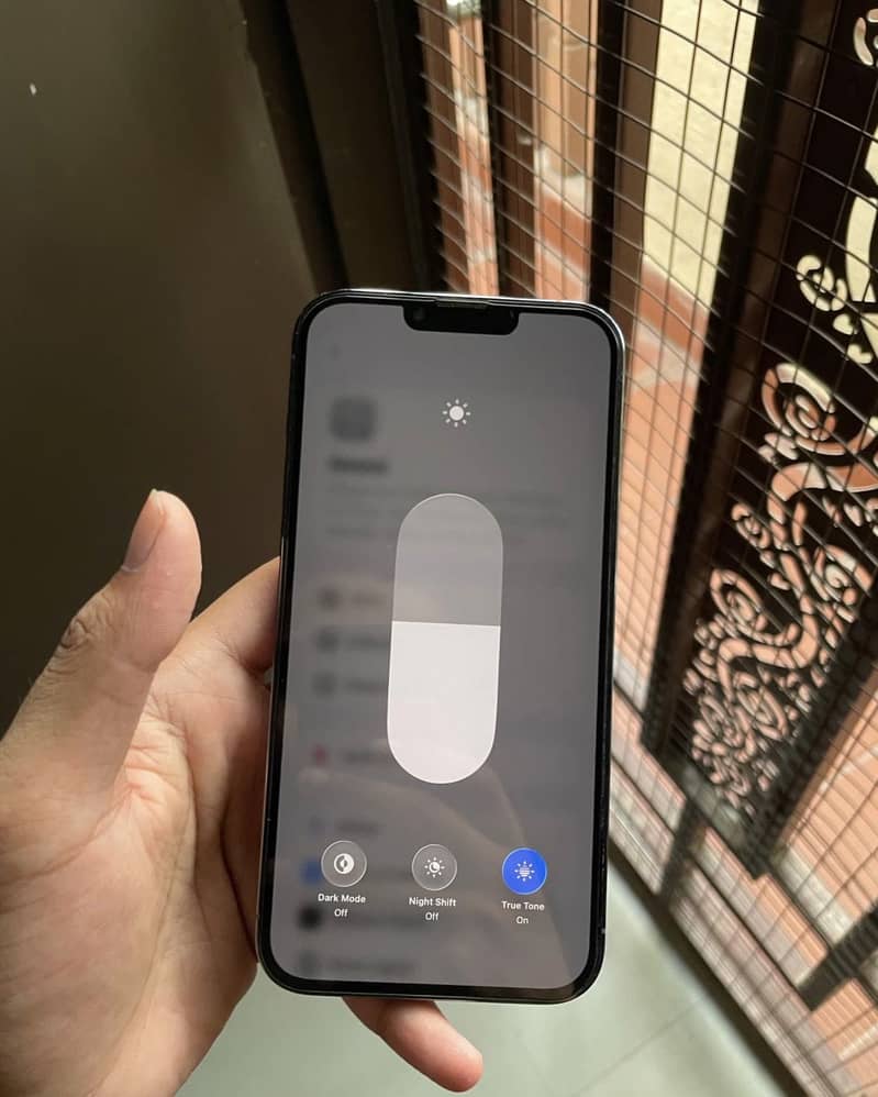 Apple iPhone 13 Pro Max 1