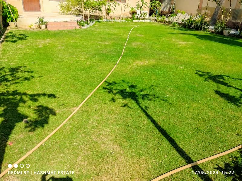 Bungalow For Commercial Use - Houses - 1120500619