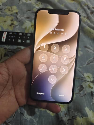 Apple iPhone 12 Pro Max
