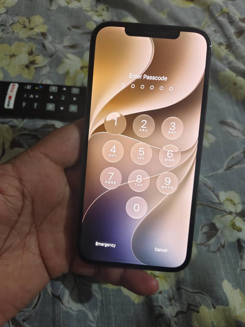 Apple iPhone 12 Pro Max 0