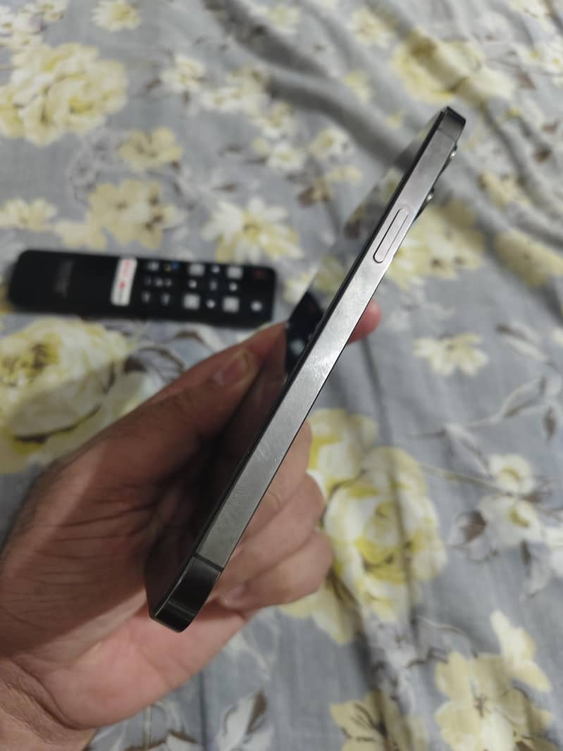 Apple iPhone 12 Pro Max 2
